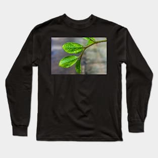 GREEN LEAVES Long Sleeve T-Shirt